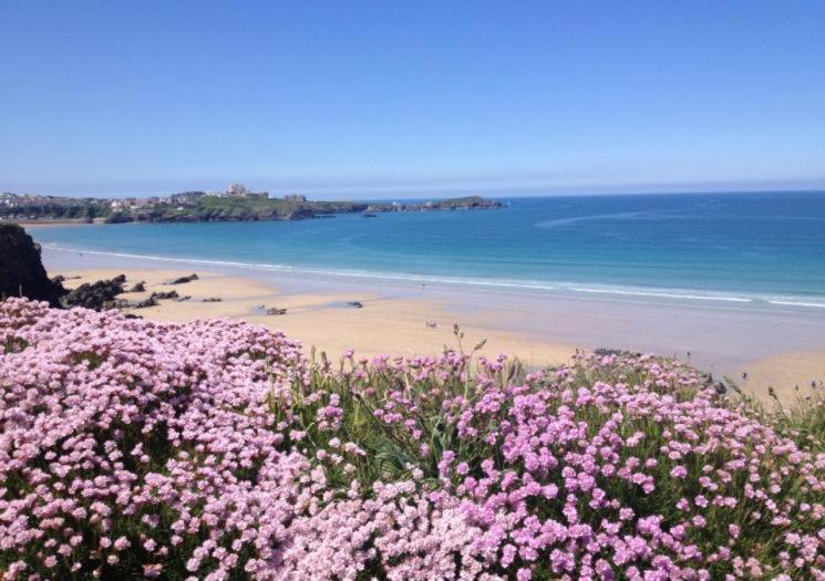 Garden Terrace Cottages New Quay Exterior foto