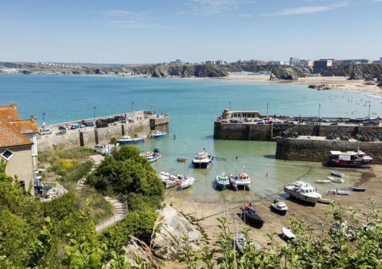Garden Terrace Cottages New Quay Exterior foto